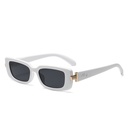 [10931] PL-H034-P1 Kacamata Premium Eksklusif Gaya Retro Modern Fashion Pria/Wanita (PL-H034-P1-White)