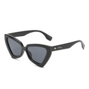 PL-WW018-P1 Kacamata Premium Eksklusif Wanita Retro Cat Eye Klasik Minimalis New Edition