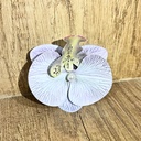 [11046] JR-A013 Jepit Bunga Hiasan Rambut Wanita Anggrek Kupu-Kupu Hairclip Flower Orchid Korean Style Aksesoris (JR-A013-White/Line/Purple)