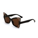 [11083] PL-WW023 Kacamata Wanita Oversized Lensa Gradiasi Model Cat Eye Kupu-Kupu Style Vintage (PL-WW023-Black/Tea)