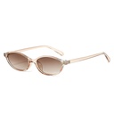 [11164] PL-H047 Kacamata Hitam Fashion Oval Retro Korean Look Sunglasses Vintage Fashion Wanita (PL-H047-Tea/Transparant)